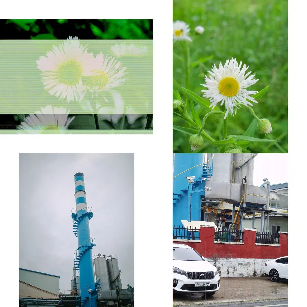 thumbnail-6
